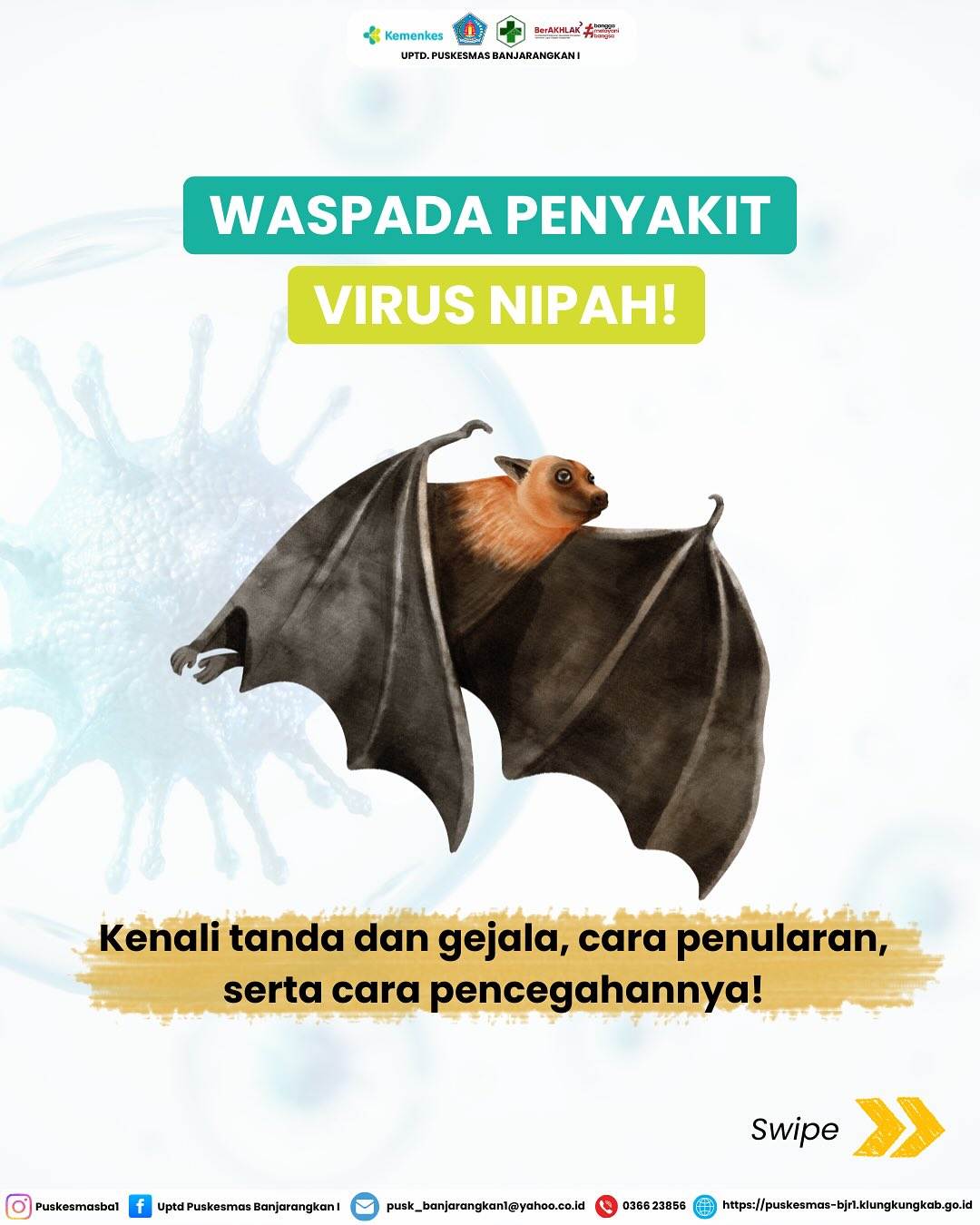 Waspada Penyakit Virus Nipah!