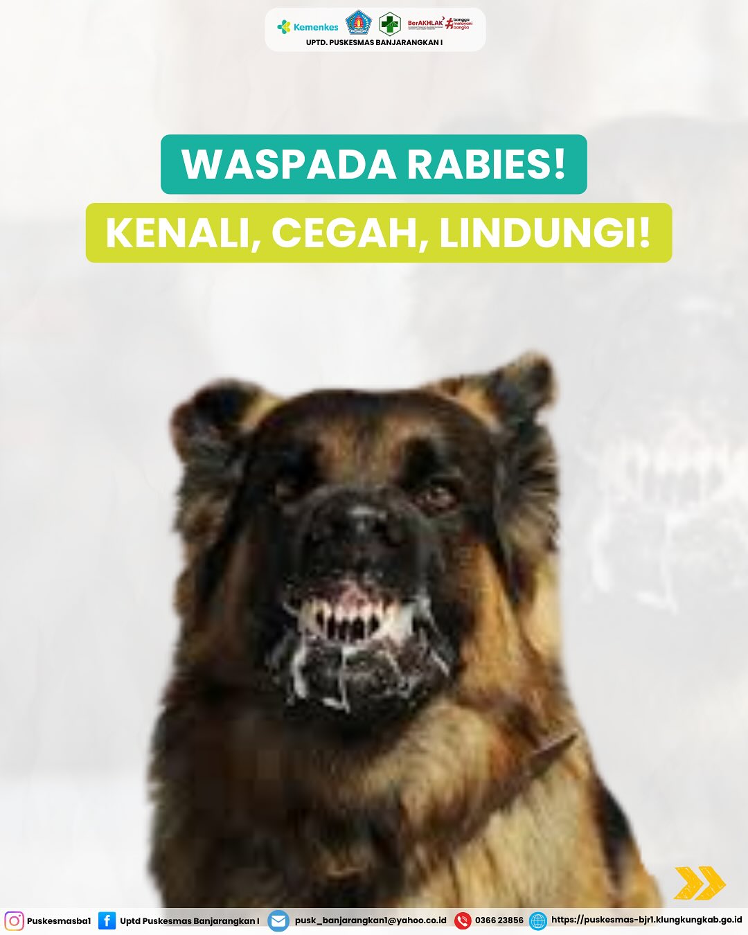 Waspada Rabies dengan Mengenali, Cegah, dan Melindungi