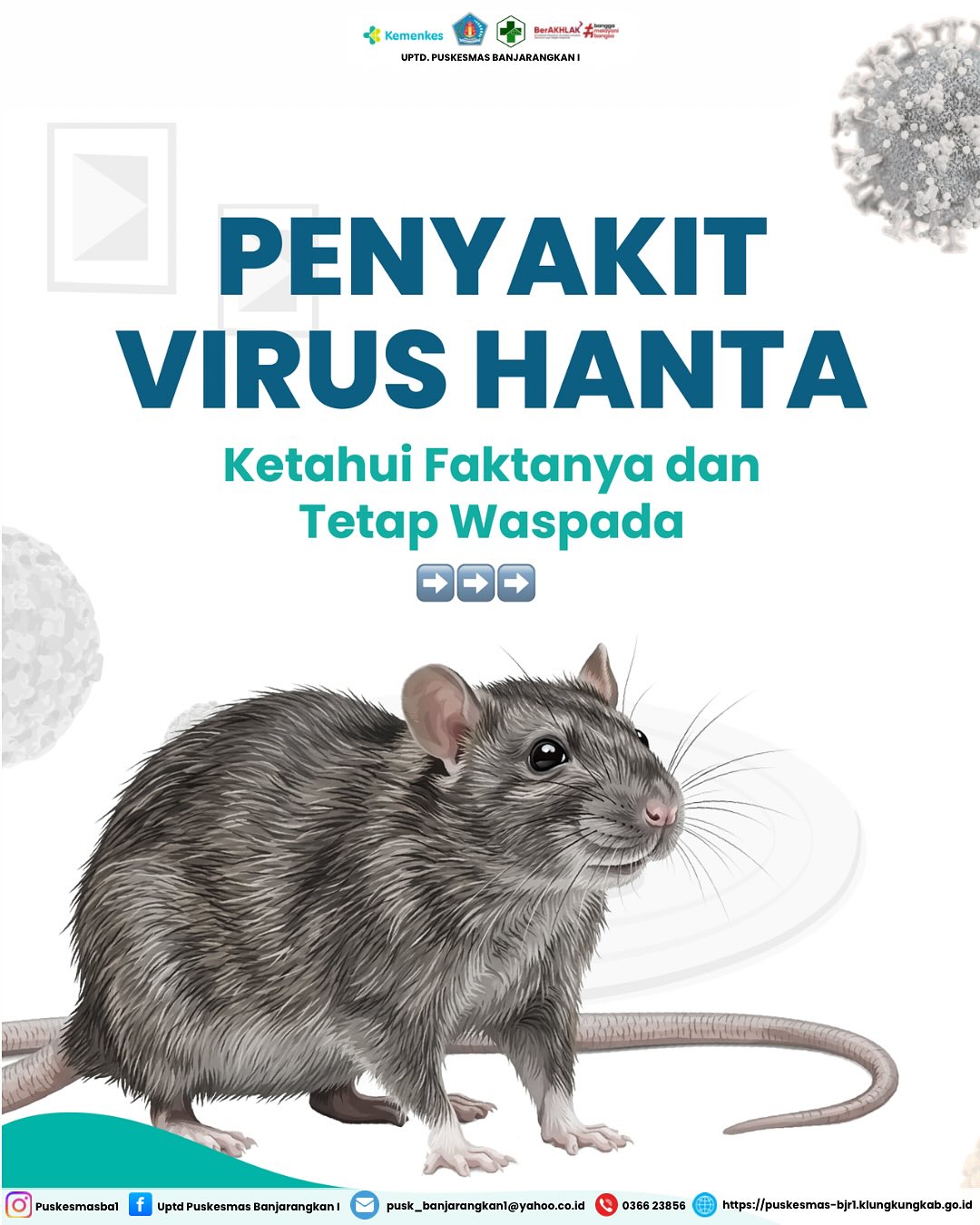 Ketahui Faktanya dan Tetap Waspada Penyakit Virus Hanta
