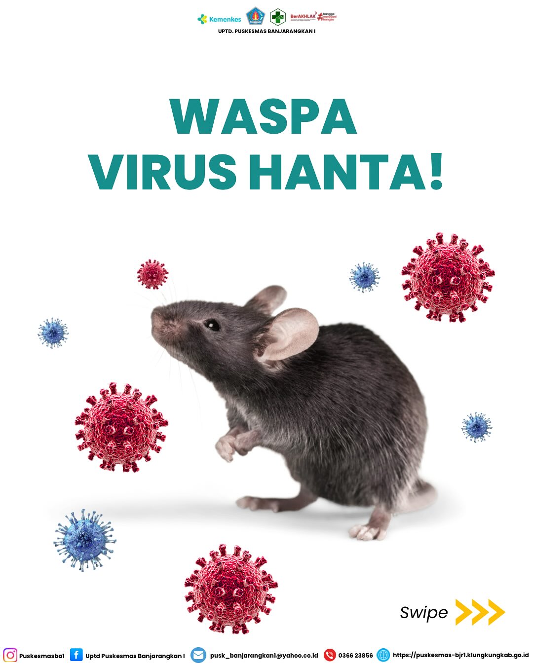 Waspada Virus Hanta!